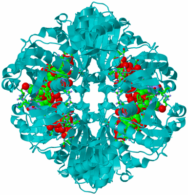 Image Biol. Unit 1 - sites