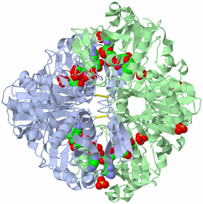 Image Biological Unit 2