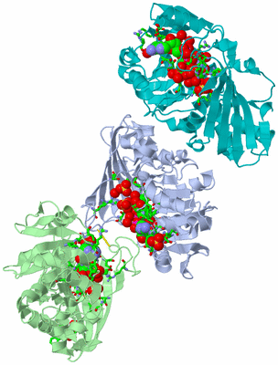 Image Asym. Unit - sites