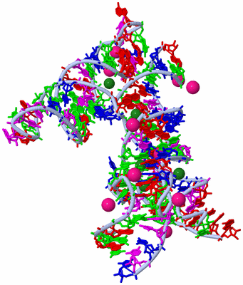 Image Biological Unit 1