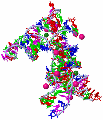 Image Biol. Unit 1 - sites