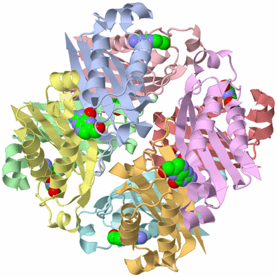 Image Asym./Biol. Unit