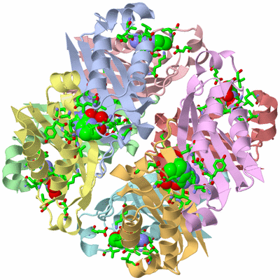 Image Asym./Biol. Unit - sites