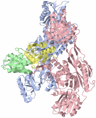 Image Asym./Biol. Unit