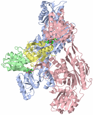 Image Asym./Biol. Unit - sites