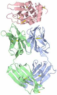 Image Asym./Biol. Unit