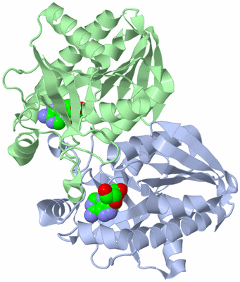Image Asym./Biol. Unit