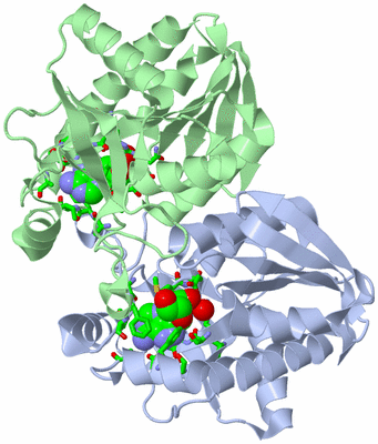 Image Asym./Biol. Unit - sites