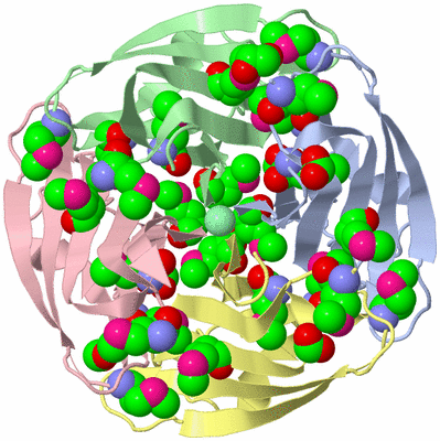 Image Asym./Biol. Unit