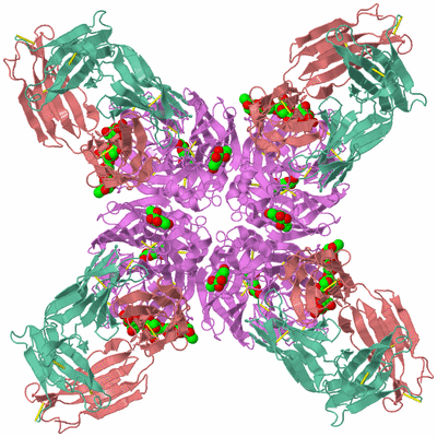 Image Biological Unit 1