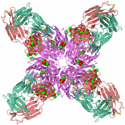 Image Biol. Unit 1 - sites