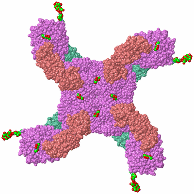 Image Biological Unit 2