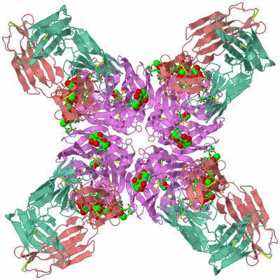 Image Biol. Unit 1 - sites