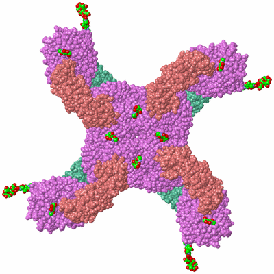 Image Biological Unit 2