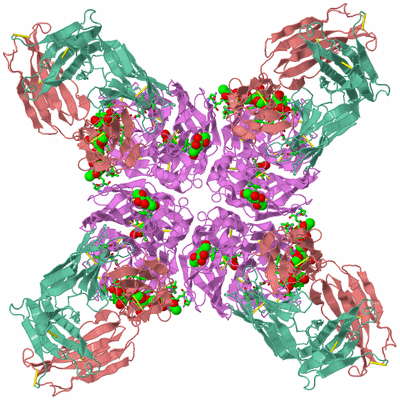 Image Biol. Unit 1 - sites