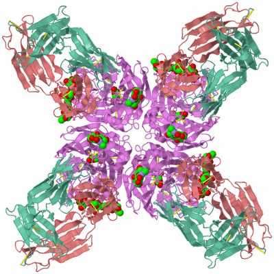 Image Biological Unit 1