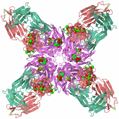 Image Biol. Unit 1 - sites