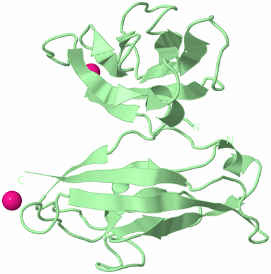 Image Biological Unit 3