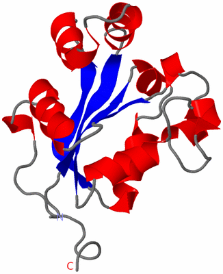 Image Asymmetric Unit