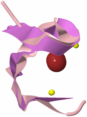 Image NMR Structure - model 1