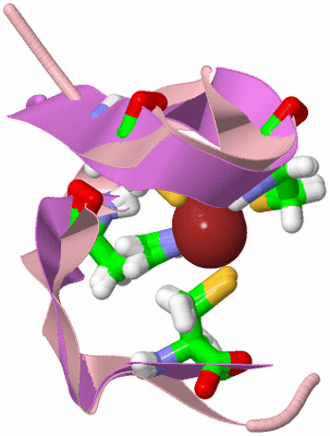 Image NMR Structure - model 1, sites