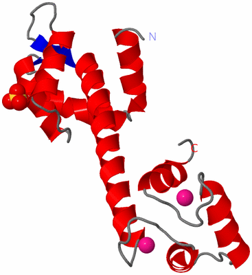 Image Asym./Biol. Unit