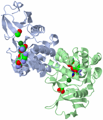 Image Asym./Biol. Unit