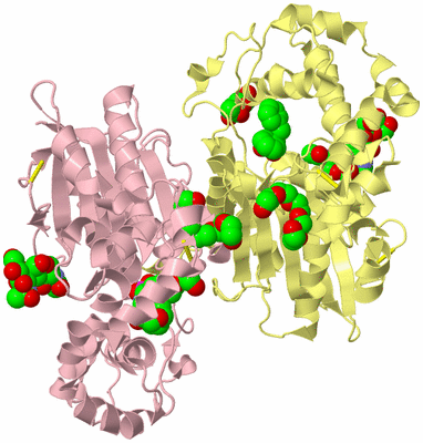 Image Biological Unit 2