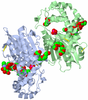 Image Biological Unit 1