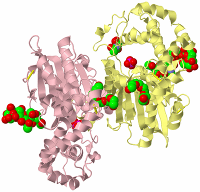 Image Biological Unit 2