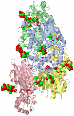 Image Biological Unit 3