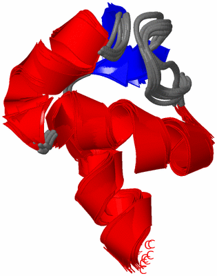 Image NMR Structure - all models