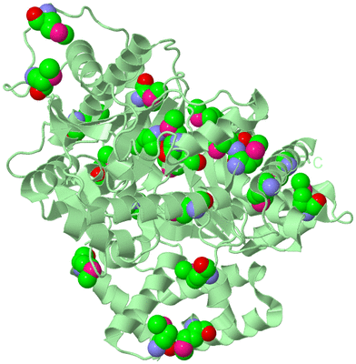 Image Biological Unit 2