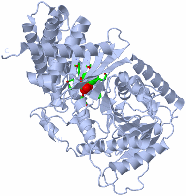 Image Biol. Unit 1 - sites