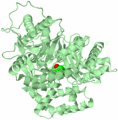 Image Biological Unit 2