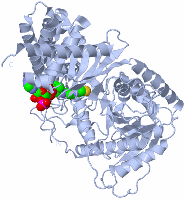 Image Biological Unit 1