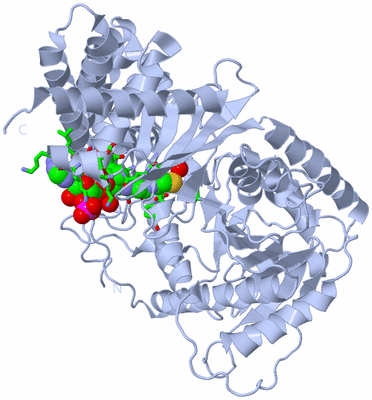 Image Biol. Unit 1 - sites