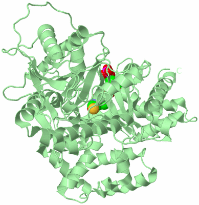 Image Biological Unit 2