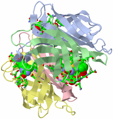 Image Asym./Biol. Unit - sites