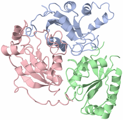 Image Asymmetric Unit