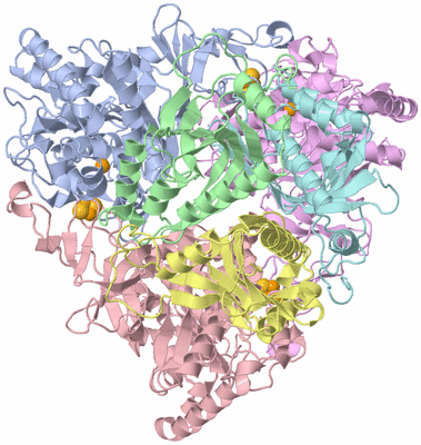 Image Asym./Biol. Unit