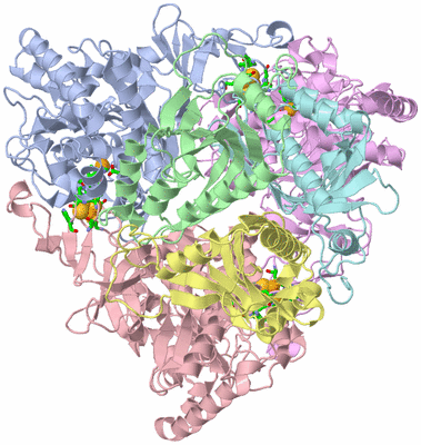 Image Asym./Biol. Unit - sites