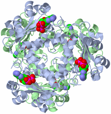 Image Biological Unit 1