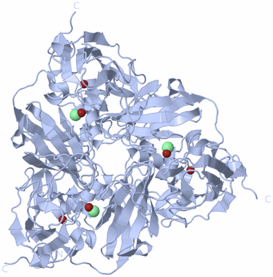 Image Biological Unit 1