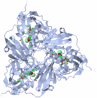 Image Biol. Unit 1 - sites