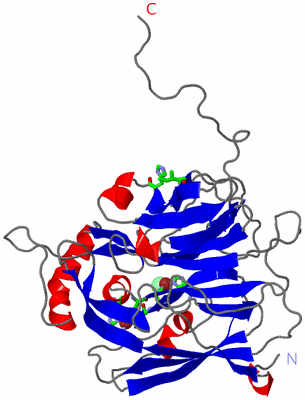 Image Asym. Unit - sites