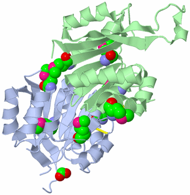 Image Asym./Biol. Unit