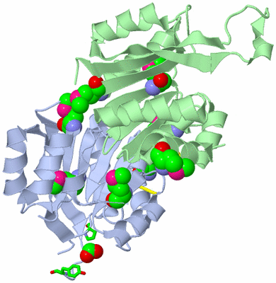 Image Asym./Biol. Unit - sites