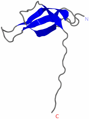 Image NMR Structure - model 1