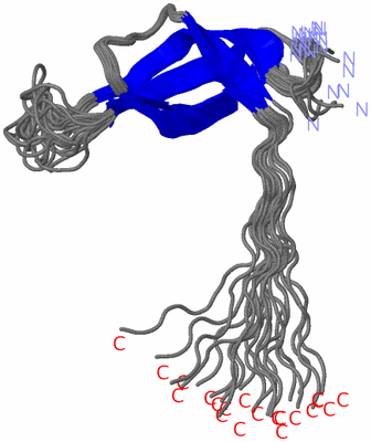 Image NMR Structure - all models